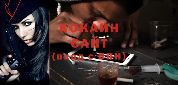 стафф Алзамай