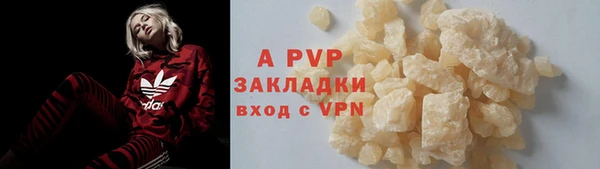 стафф Алзамай