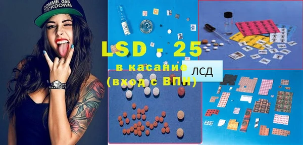 стафф Алзамай