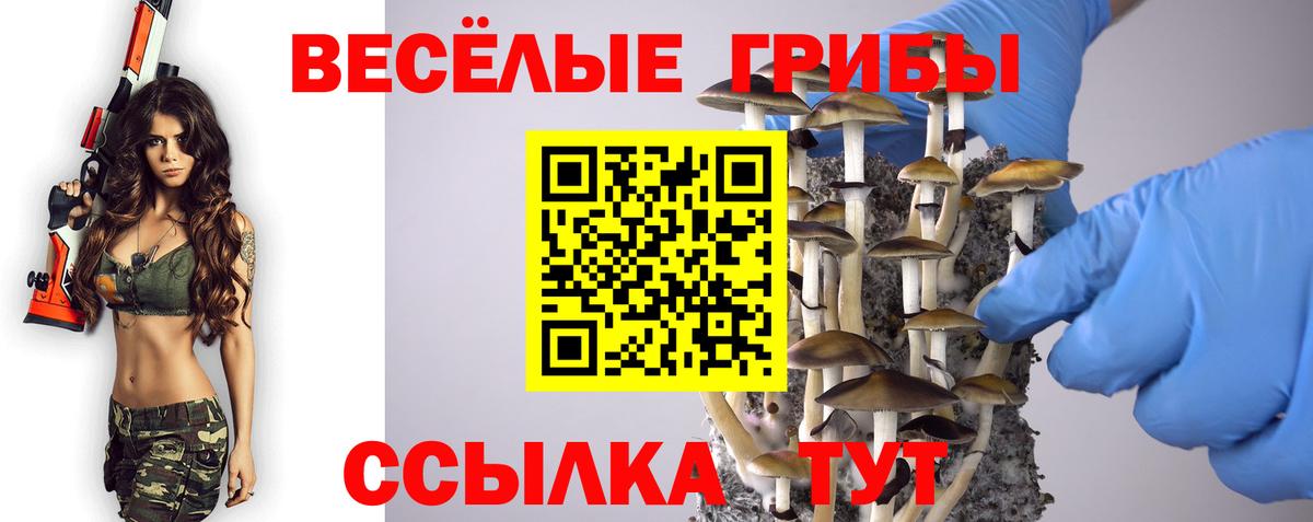 Галлюциногенные грибы Magic Shrooms  Вход с VPN  Алушта 